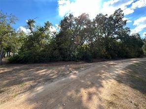 529 Madison Street Elgin, TX 78621 - Photo 4 of 13 Back view of lot