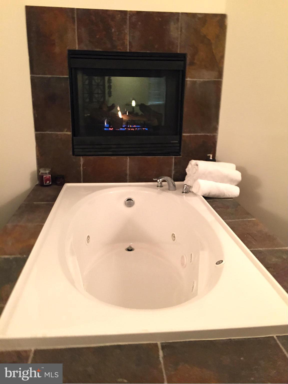 110 Notley Road Fort Washington, MD 20744 - Photo 23 of 30 Bath (Master)