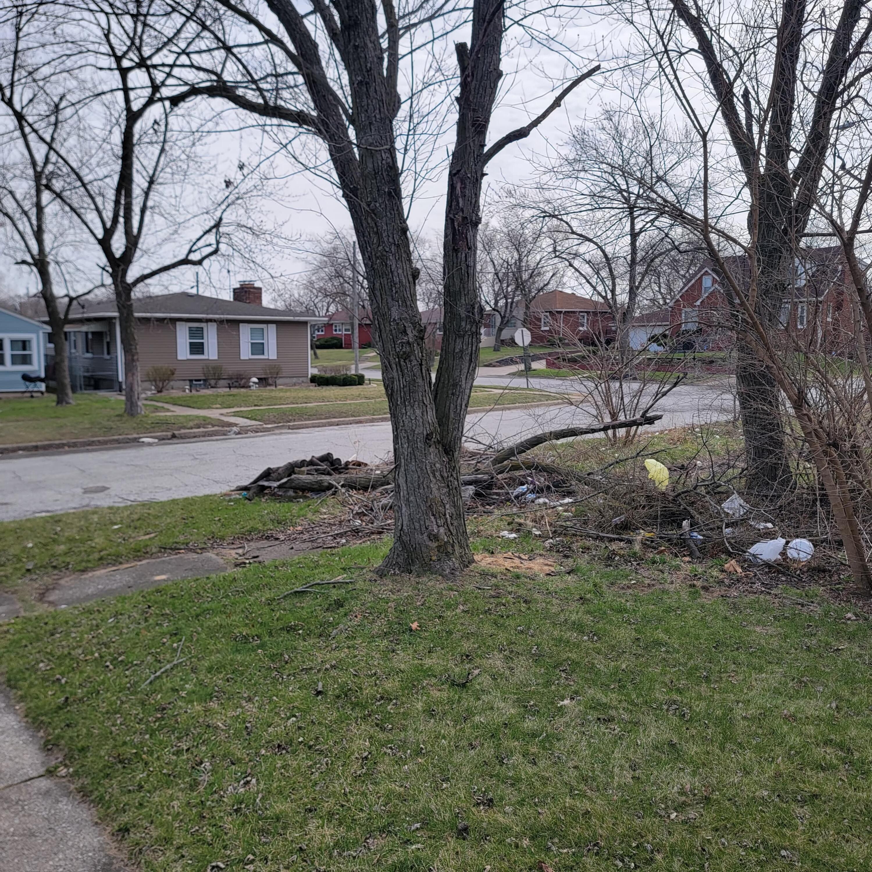 1982 Cleveland Street Gary, IN 46404 - Photo 54 of 57 2999x2999