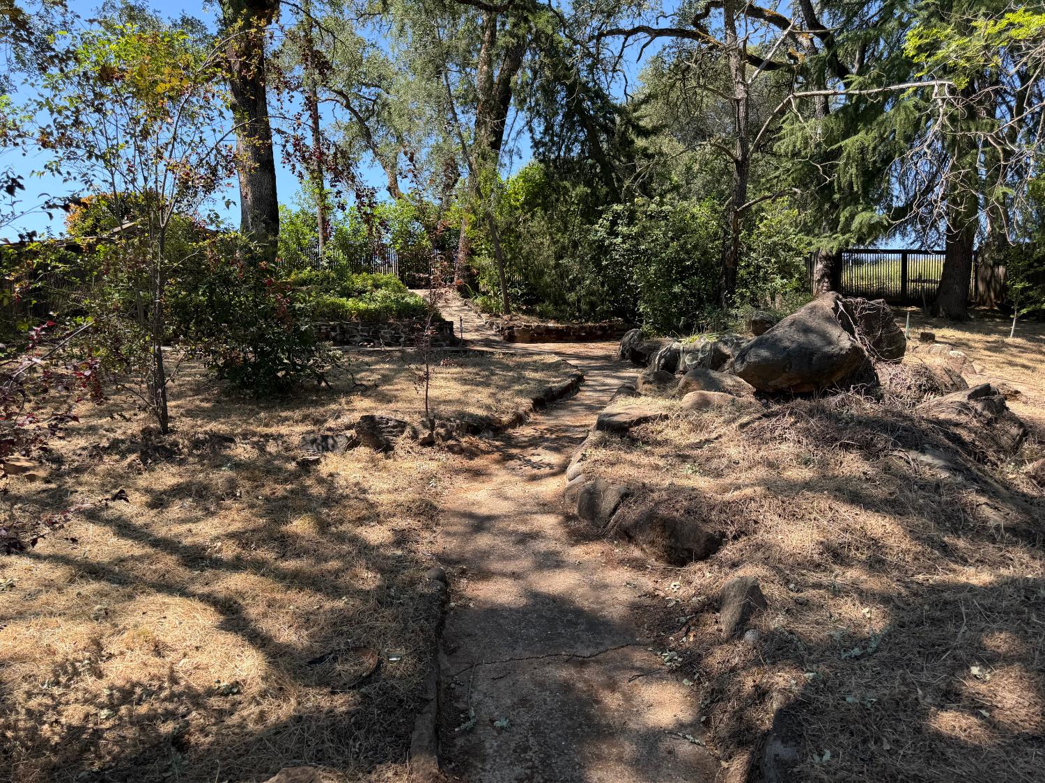 231 Boarman Street Jackson, CA 95642 - Photo 64 of 65 Rear yard paths