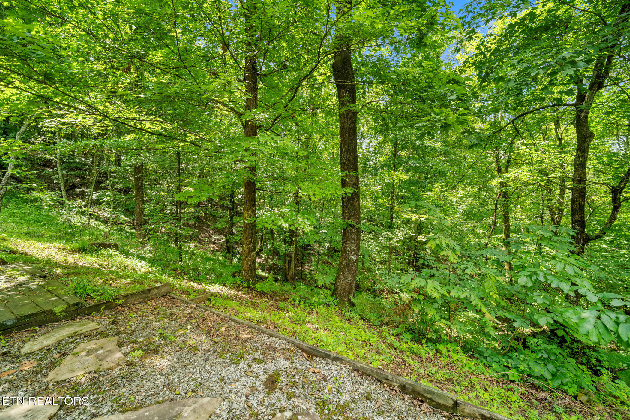 613 North Shiloh Road Seymour, TN 37865 - Photo 41 of 46 dsc05223