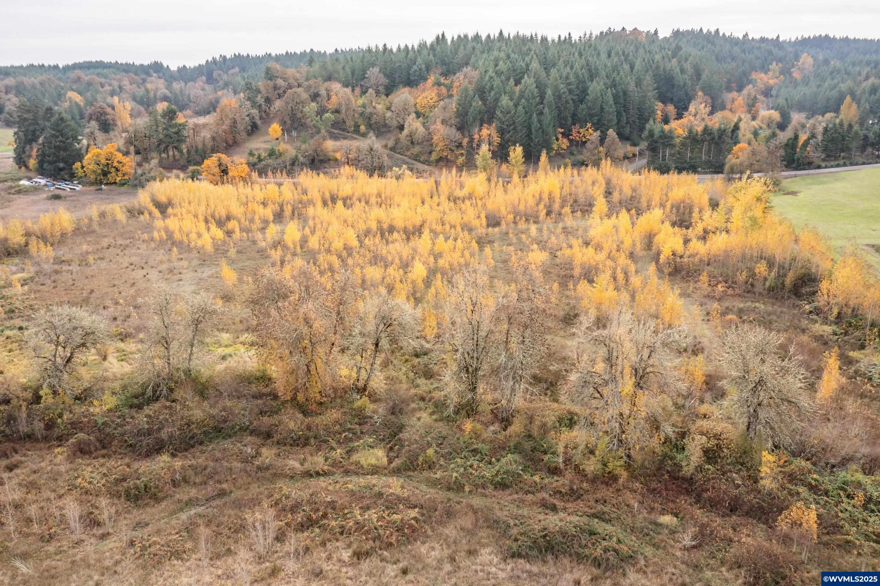 2535 Liberty Road Dallas, OR 97338 - Photo 37 of 50