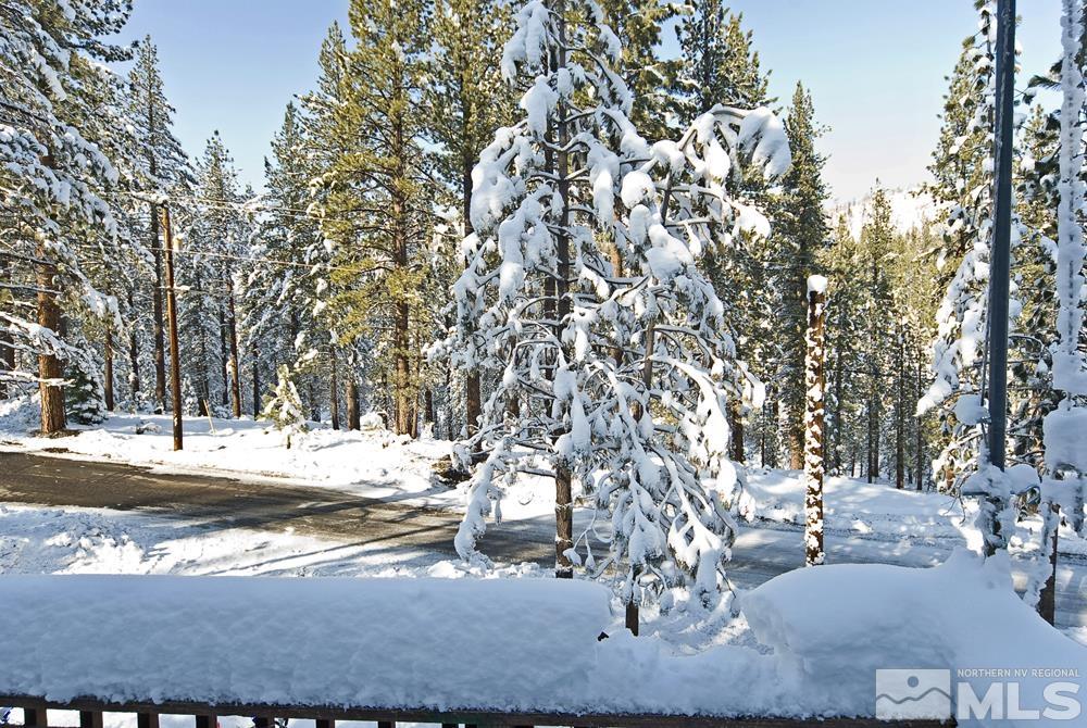 166 Pleasant Valley Road Markleeville, CA 96120 - Photo 7 of 24 a view of a yard with snow on the road