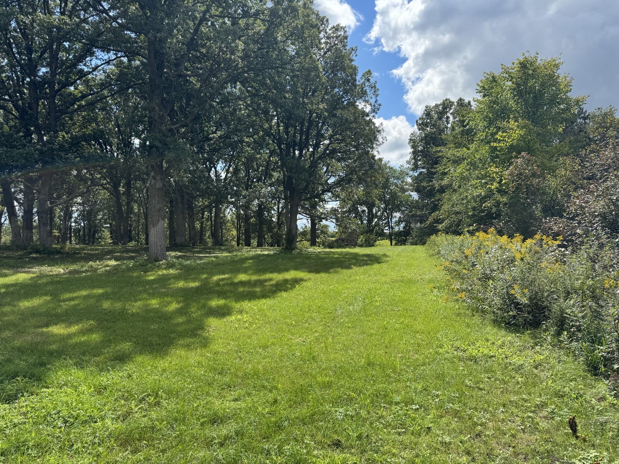 Lot 28 21st Street Rice Lake, WI 54868 - Photo 22 of 40