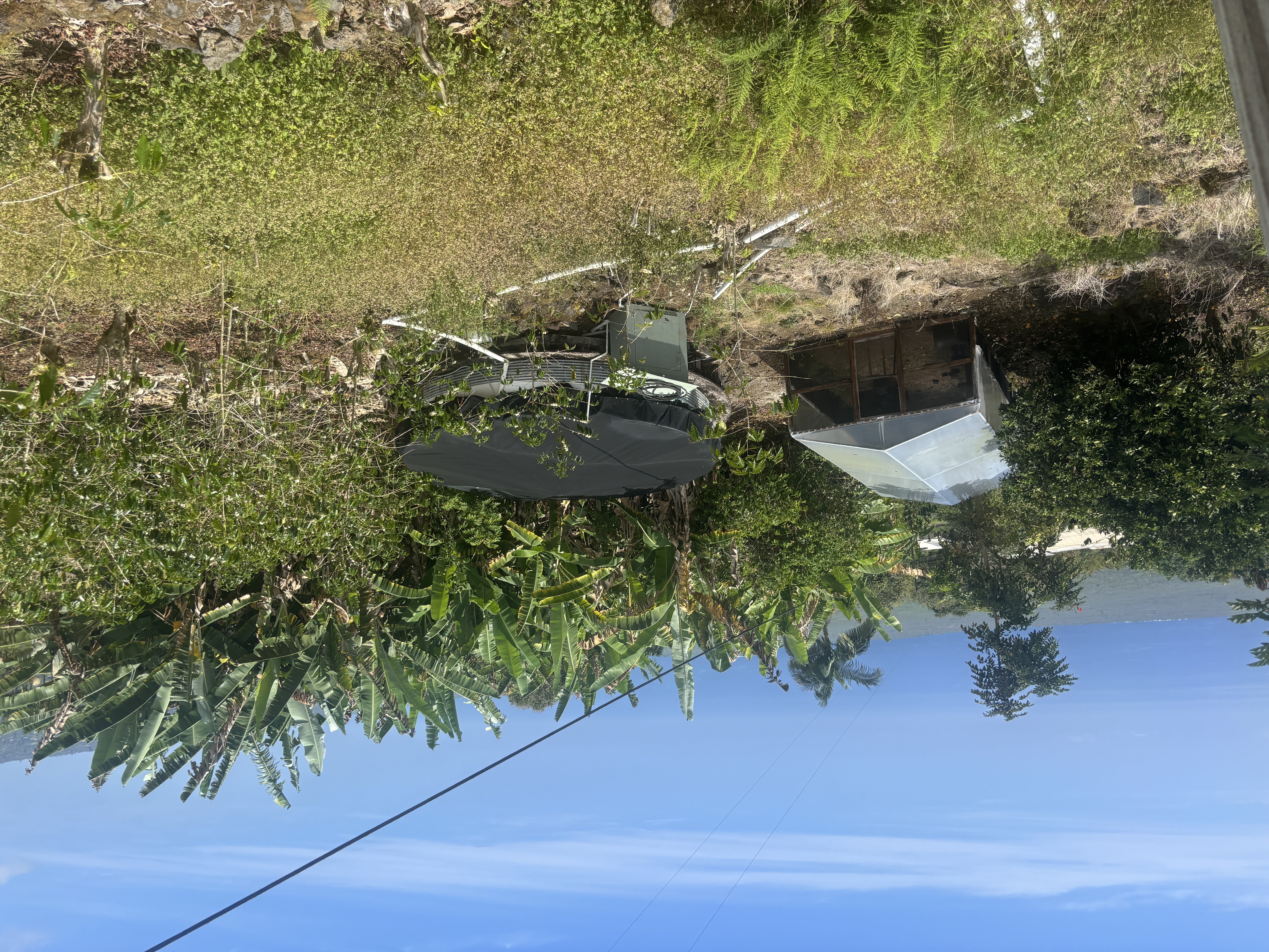 84-1226 Bruner Road Captain Cook, HI 96704 - Photo 6 of 28 a backyard of a house with lots of green space