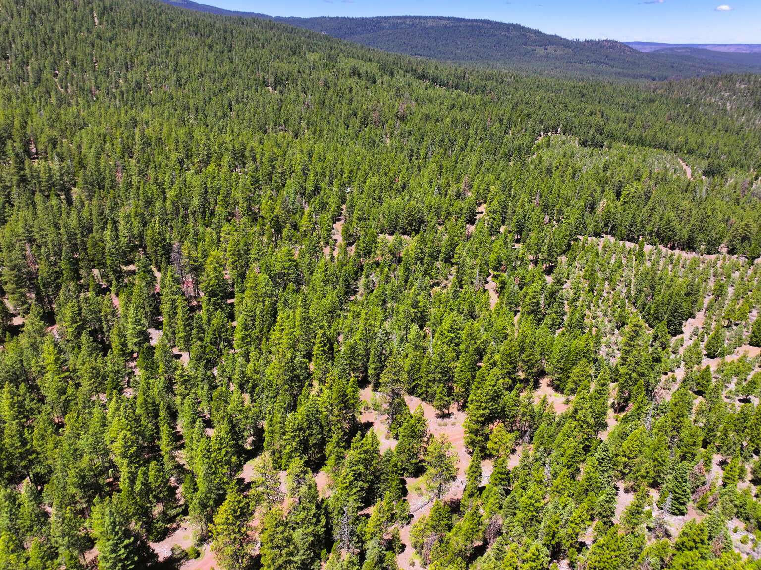 8193 Carlsberg Road Alturas, CA 96101 - Photo 11 of 16 Dingman.11