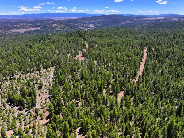 $25,000 | 8193 Carlsberg Road, Alturas, CA 96101
