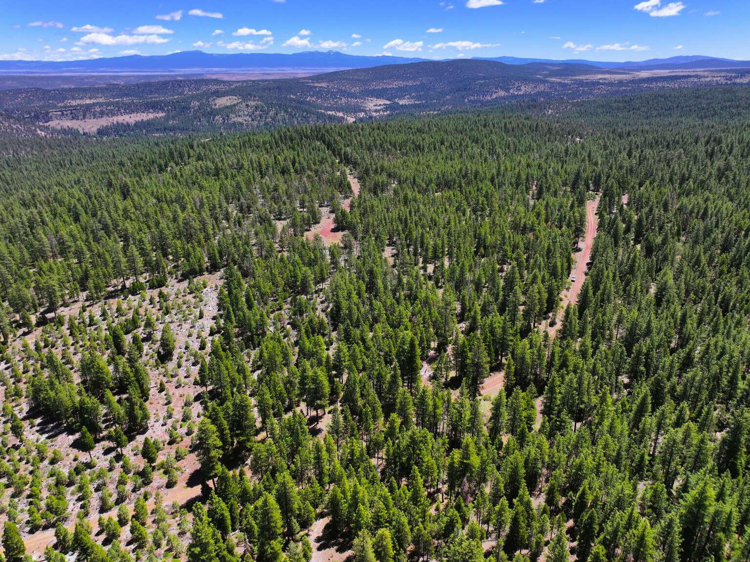 8193 Carlsberg Road Alturas, CA 96101 - Photo 13 of 16 Dingman.13