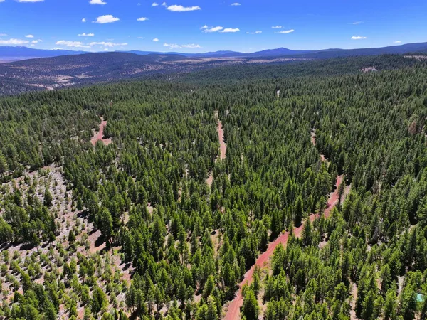 $25,000 | 8193 Carlsberg Road, Alturas, CA 96101