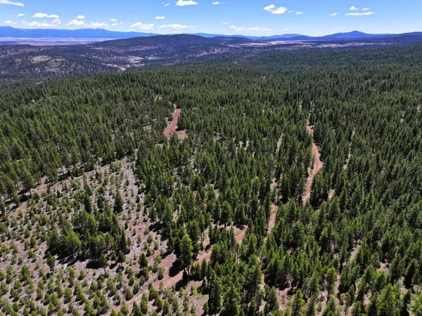 $25,000 | 8193 Carlsberg Road, Alturas, CA 96101