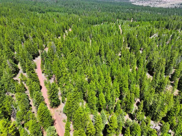 $25,000 | 8193 Carlsberg Road, Alturas, CA 96101
