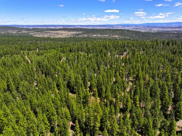 $25,000 | 8193 Carlsberg Road, Alturas, CA 96101