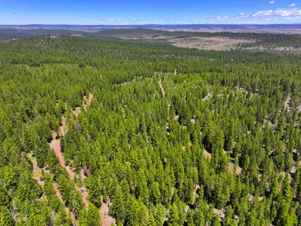 $25,000 | 8193 Carlsberg Road, Alturas, CA 96101