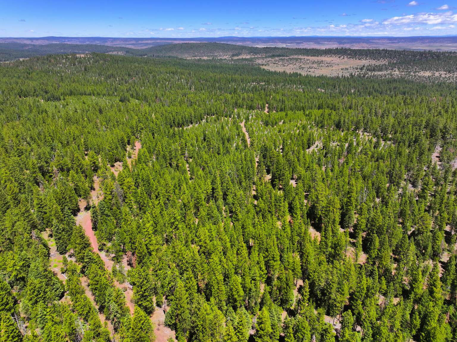 8193 Carlsberg Road Alturas, CA 96101 - Photo 10 of 16 Dingman.10