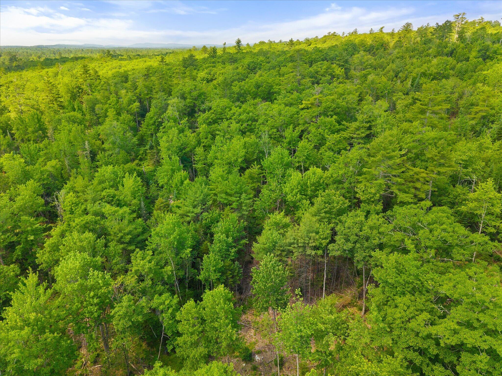 532 Lebanon Road Winterport, ME 04496 - Photo 11 of 17 11-68 Acres- Lebanon Rd
