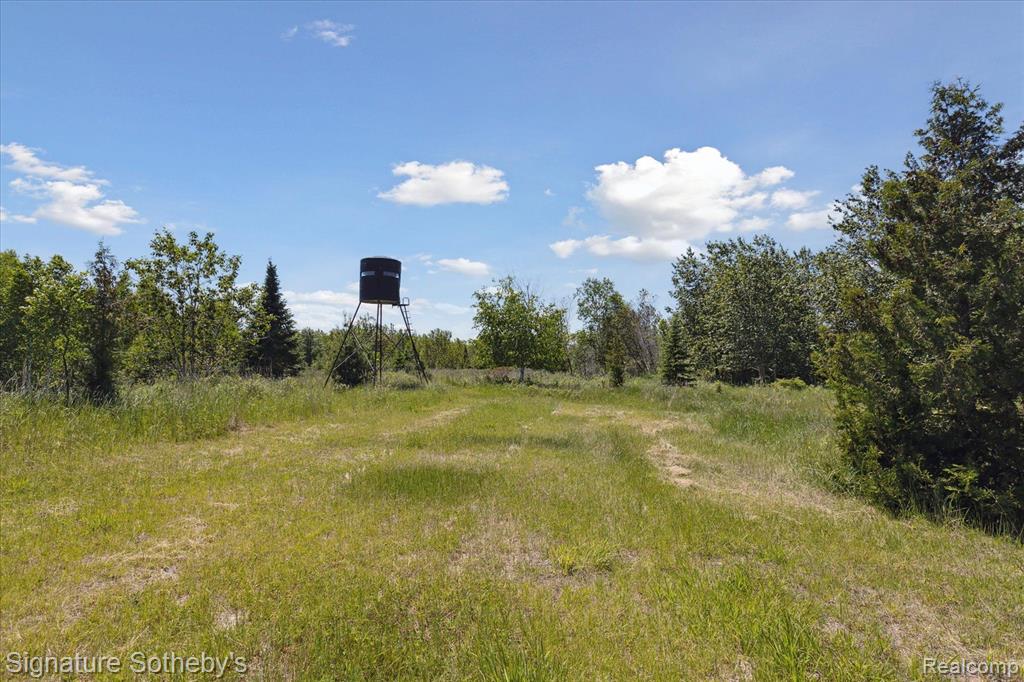 9842 Misery Bay Road Alpena, MI 49707 - Photo 72 of 87