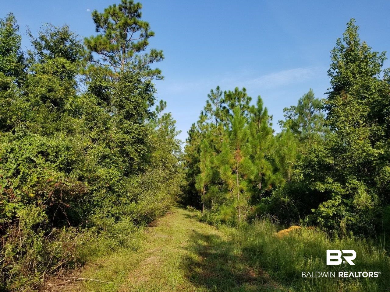 0 Jerkins Loop Atmore, AL 36502 - Photo 40 of 50