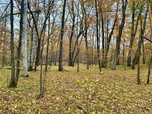 $125,000 | Tbd East Lake Lizzie Road, Pelican Rapids, MN 56572