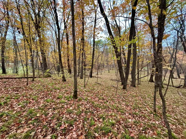 $125,000 | Tbd East Lake Lizzie Road, Pelican Rapids, MN 56572