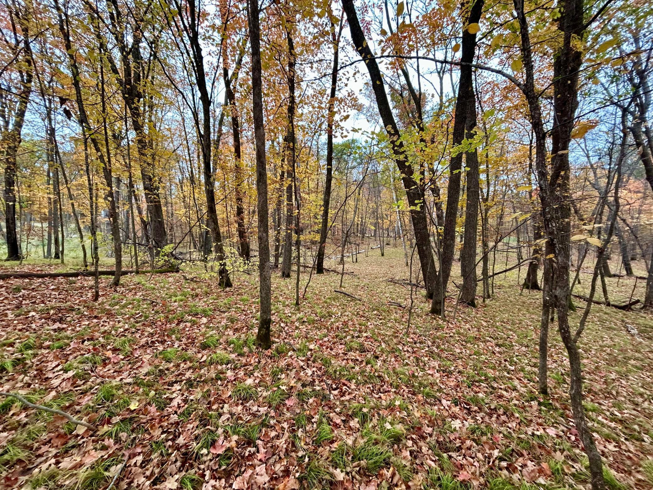 Tbd East Lake Lizzie Road Pelican Rapids, MN 56572 - Photo 12 of 16