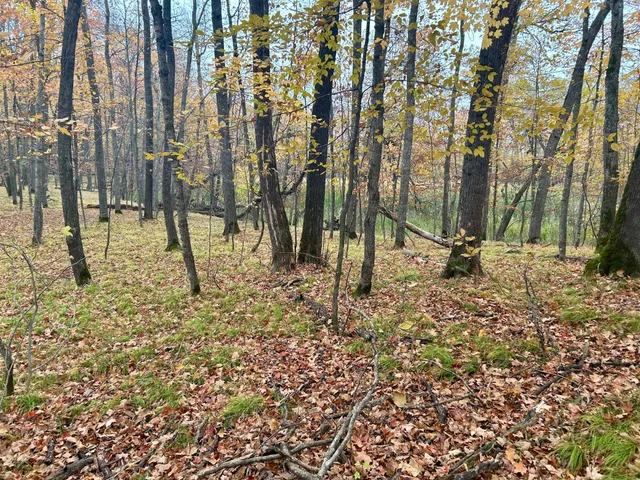 $125,000 | Tbd East Lake Lizzie Road, Pelican Rapids, MN 56572