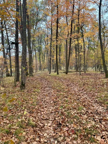 $125,000 | Tbd East Lake Lizzie Road, Pelican Rapids, MN 56572