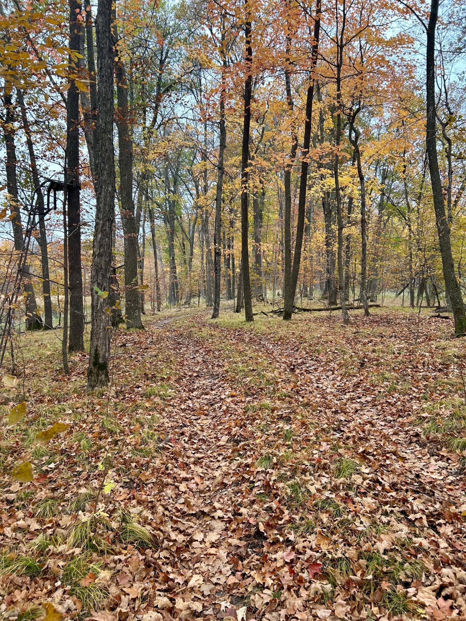 Tbd East Lake Lizzie Road Pelican Rapids, MN 56572 - Photo 14 of 16