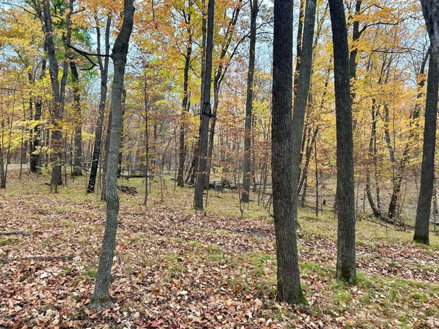 $125,000 | Tbd East Lake Lizzie Road, Pelican Rapids, MN 56572