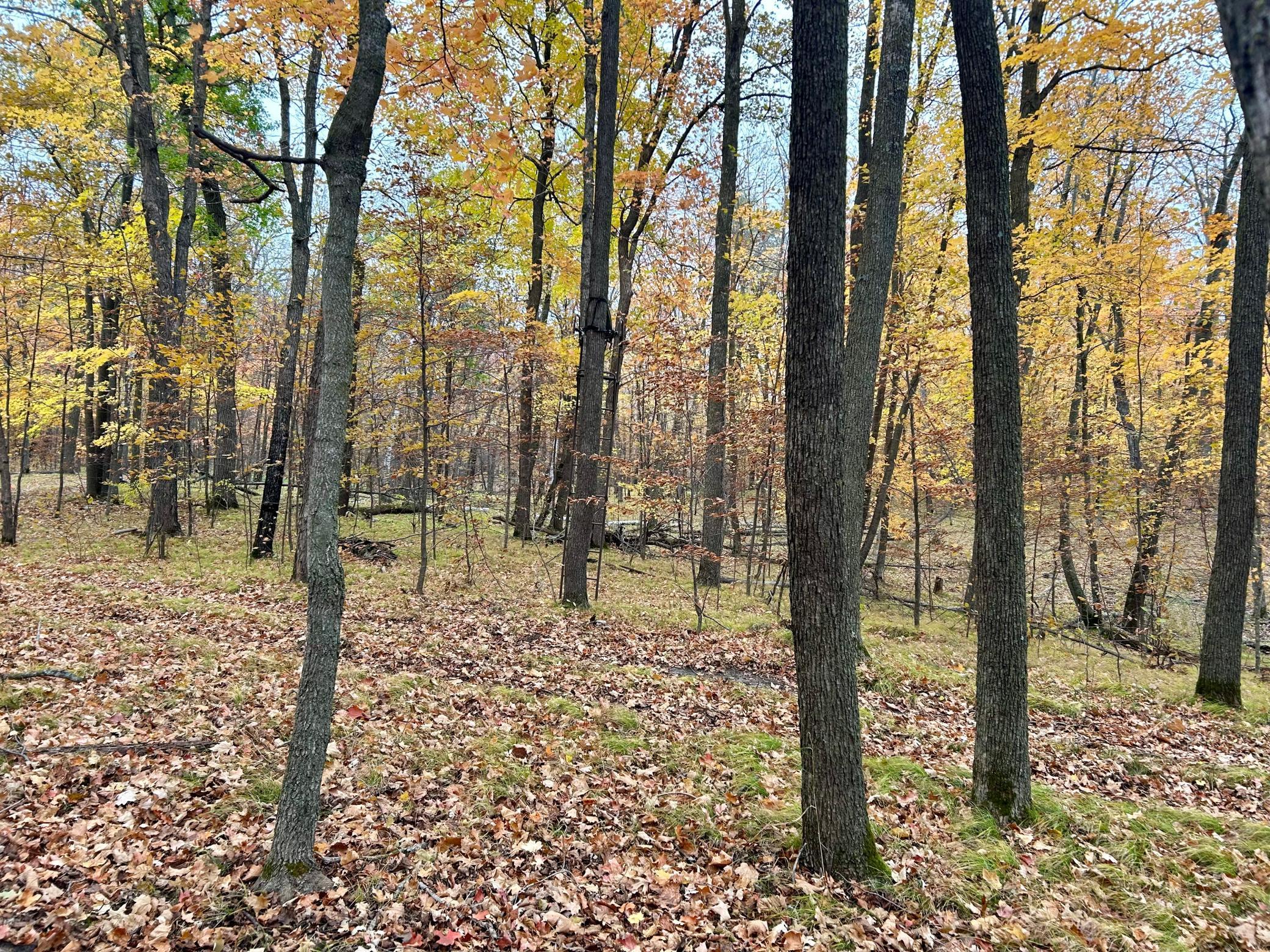 Tbd East Lake Lizzie Road Pelican Rapids, MN 56572 - Photo 15 of 16