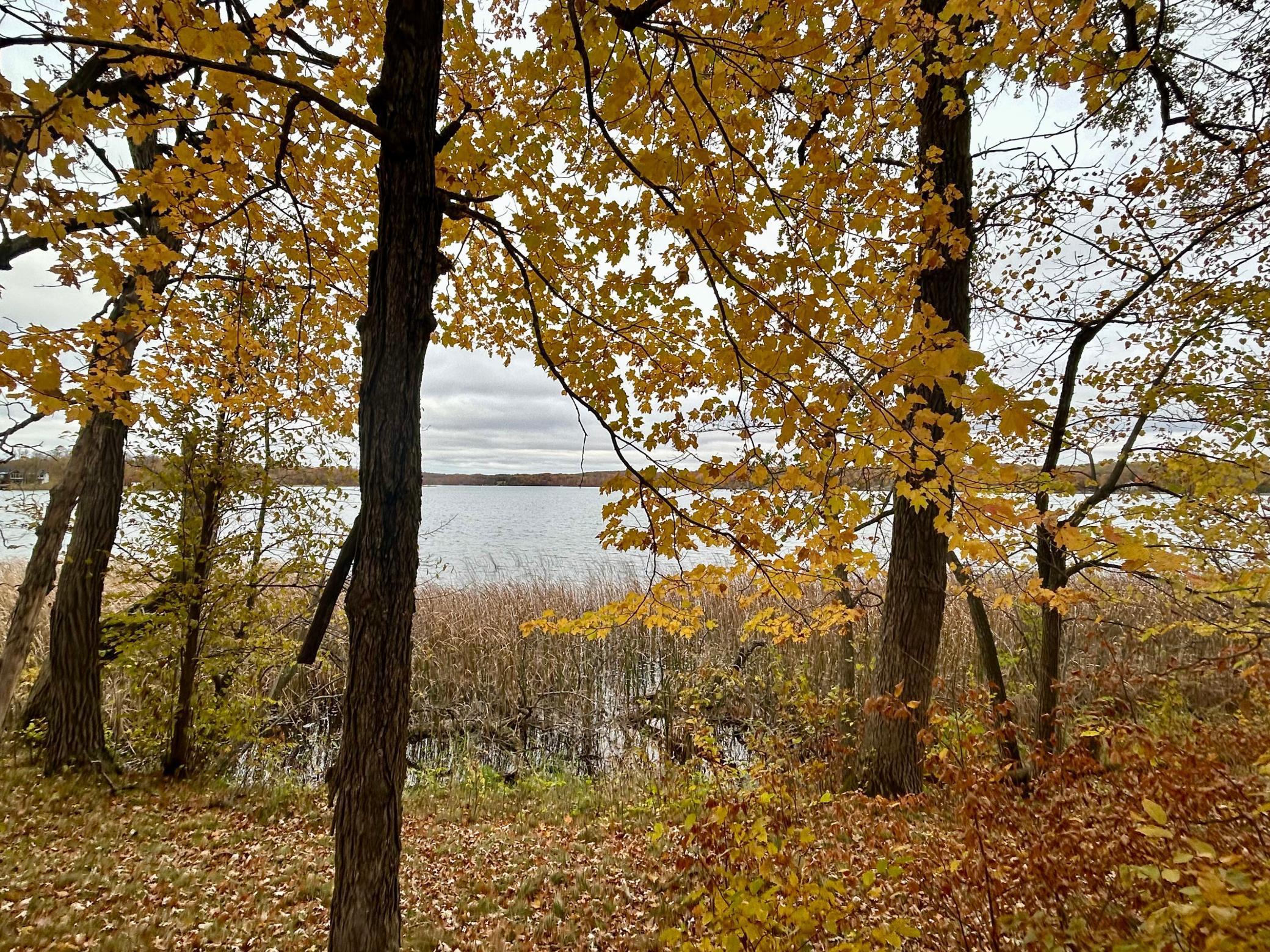 Tbd East Lake Lizzie Road Pelican Rapids, MN 56572 - Photo 2 of 16