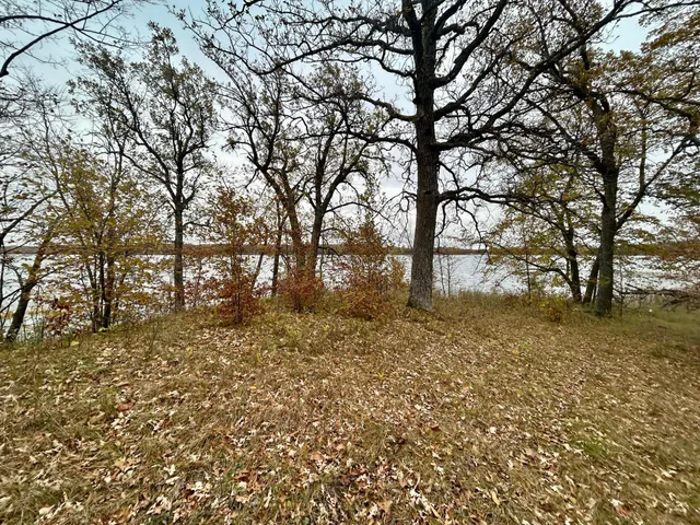 $125,000 | Tbd East Lake Lizzie Road, Pelican Rapids, MN 56572