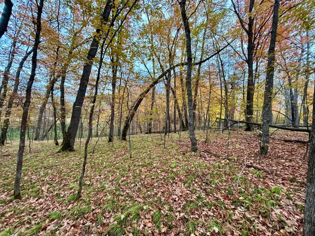 $125,000 | Tbd East Lake Lizzie Road, Pelican Rapids, MN 56572