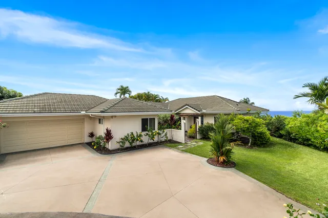 a view of a backyard with potted plants and a large tree