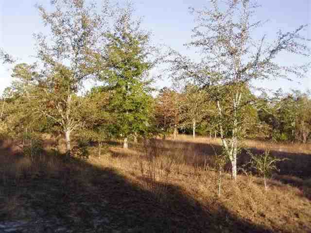 9 Warrior Creek Road Perry, FL 32348 - Photo 1 of 4 Gallery Image 1