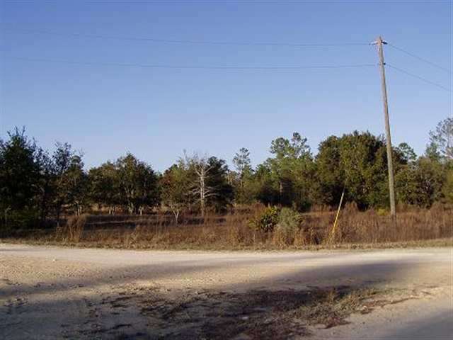 9 Warrior Creek Road Perry, FL 32348 - Photo 3 of 4 Gallery Image 3