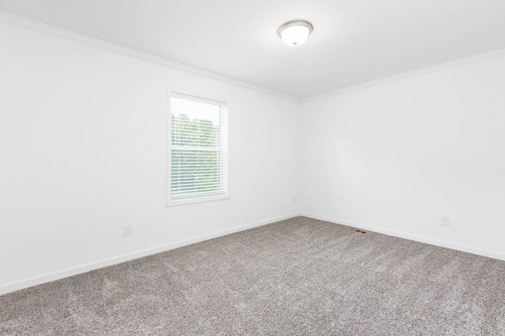 5048 Back Hampden Sydney Road Farmville, VA 23901 - Photo 29 of 49 Gallery Image 29