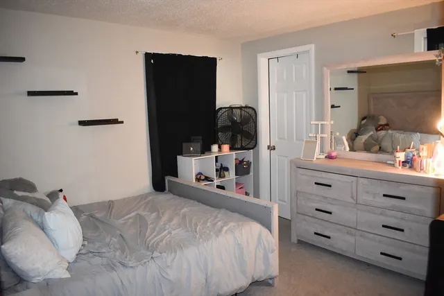 a bedroom with a bed and a closet