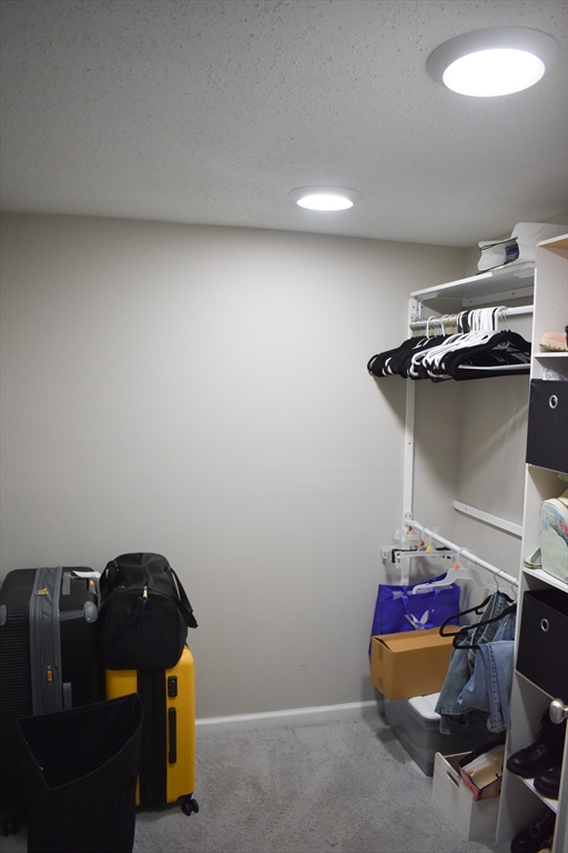 34 Wallace Street Springfield, MA 01119 - Photo 21 of 23