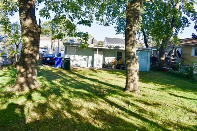 a view of a park with large trees