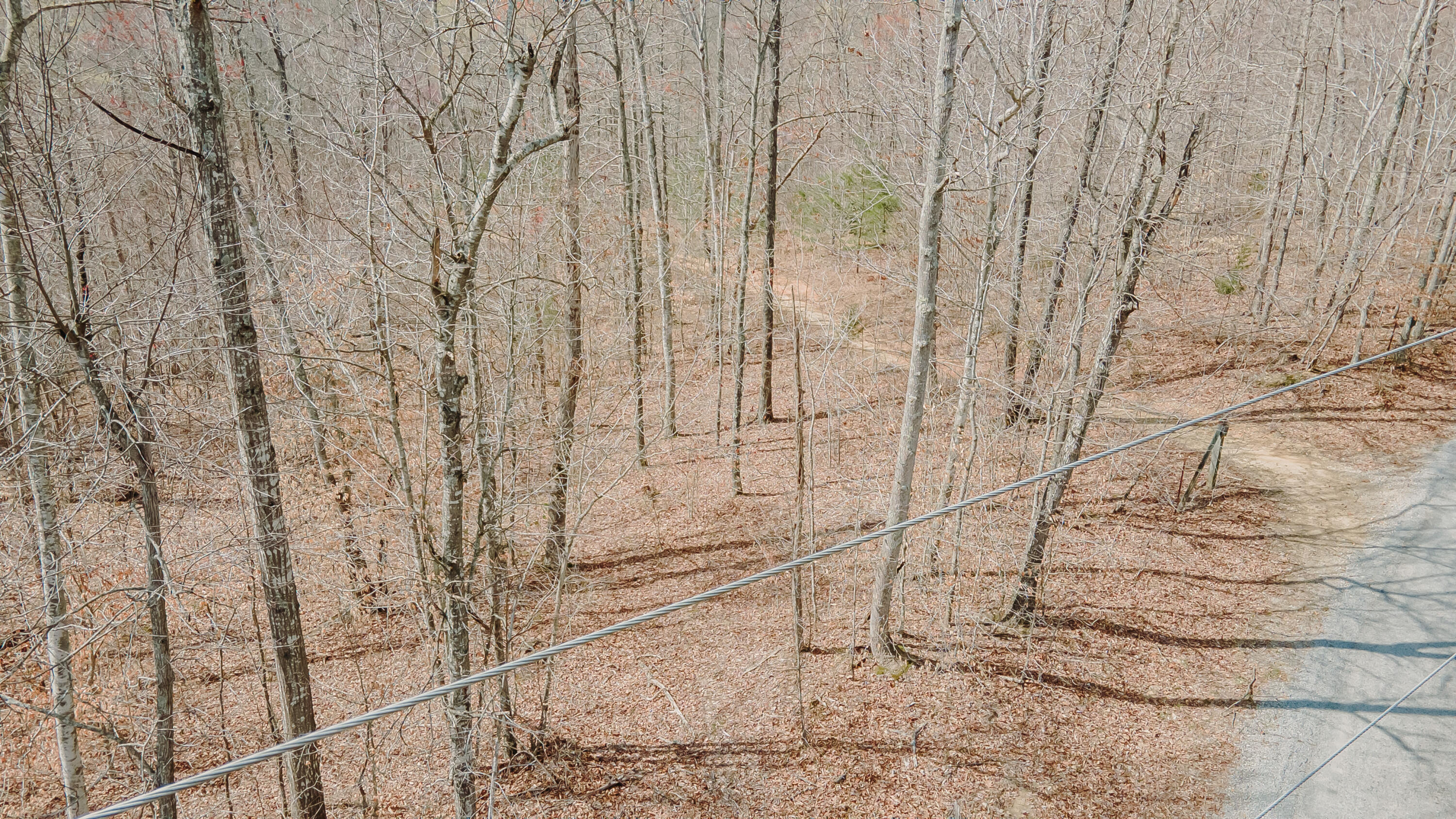 7000 Cave Springs Road Nancy, KY 42544 - Photo 35 of 69 Wolf Creek-30