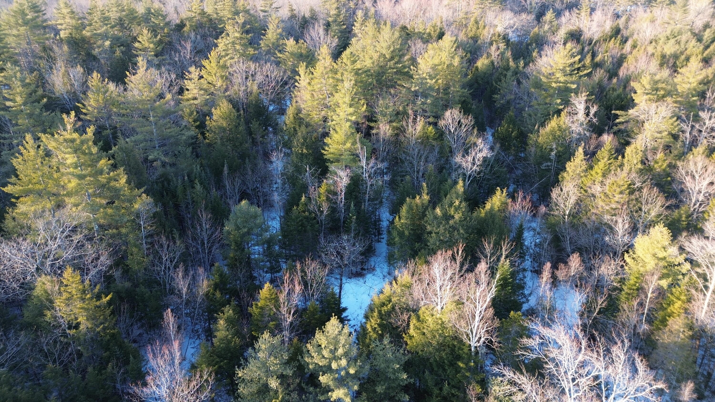 Map13-lot11 Field View Road Fryeburg, ME 04037 - Photo 7 of 37