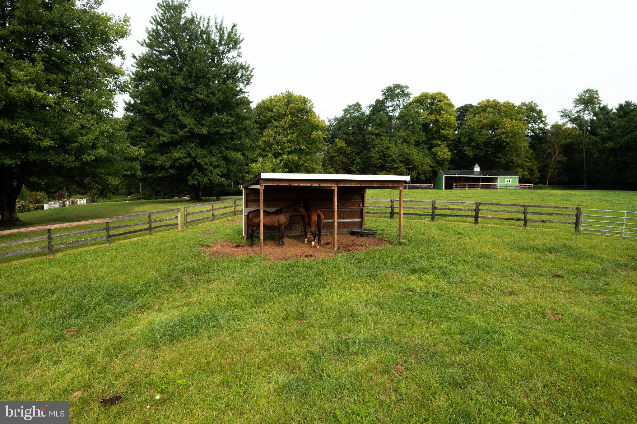 34994 Williams Gap Road Round Hill, VA 20141 - Photo 69 of 90 Gallery Image 69