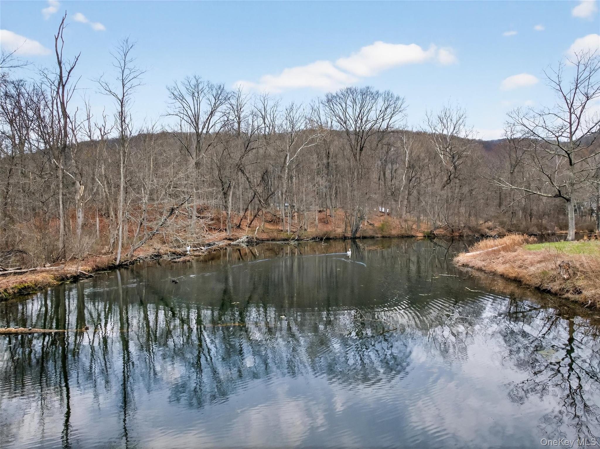 810 Haverstraw Road Suffern, NY 10901 - Photo 46 of 49