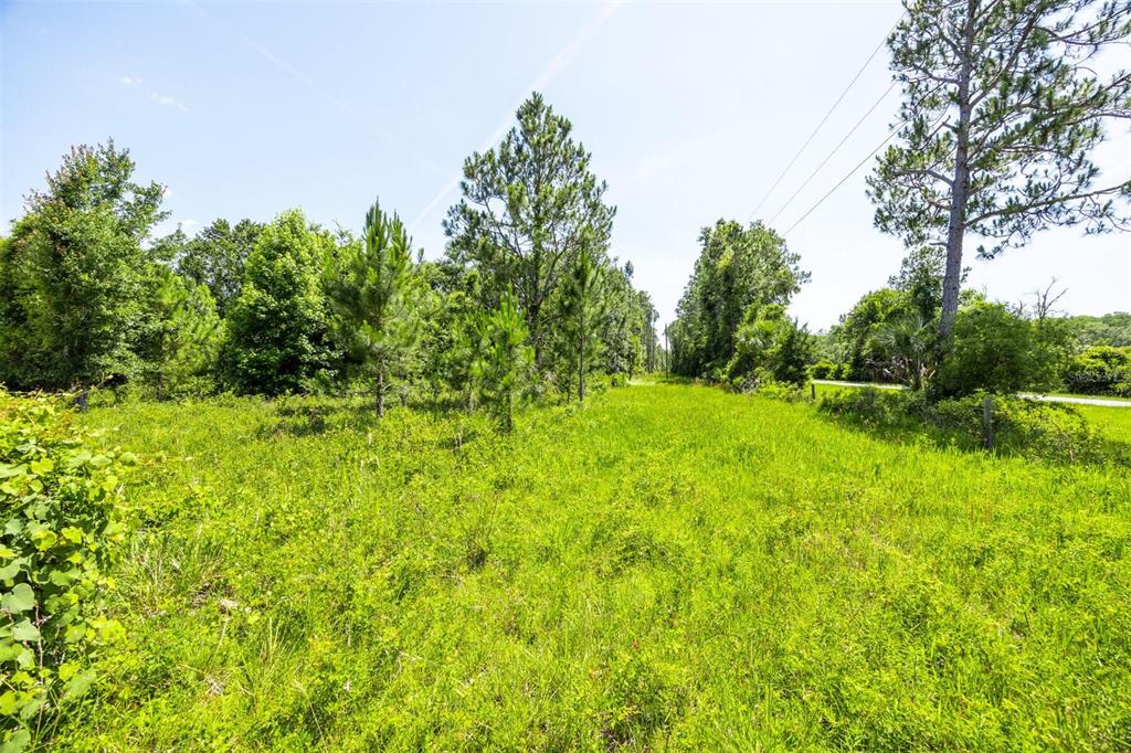 0 Th Chiefland, FL 32626 - Photo 11 of 11 a view of yard with green space