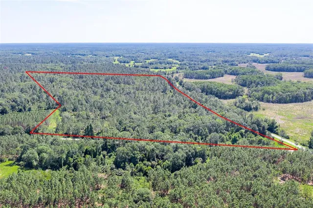 a view of a lush green hillside and a houses