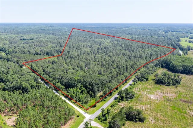 an aerial view of green landscape with trees houses and mountain view