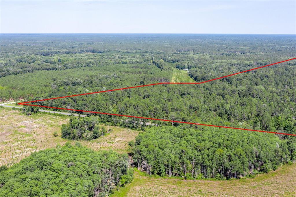 0 Th Chiefland, FL 32626 - Photo 6 of 11 an aerial view of green landscape with trees houses and mountain view