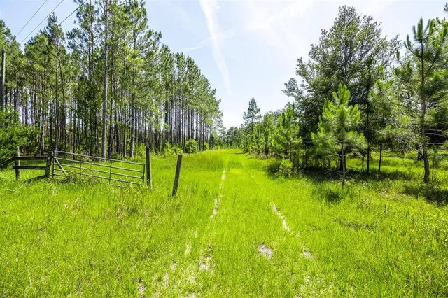 a view of yard with green space