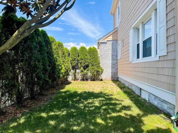 a view of a backyard with plants