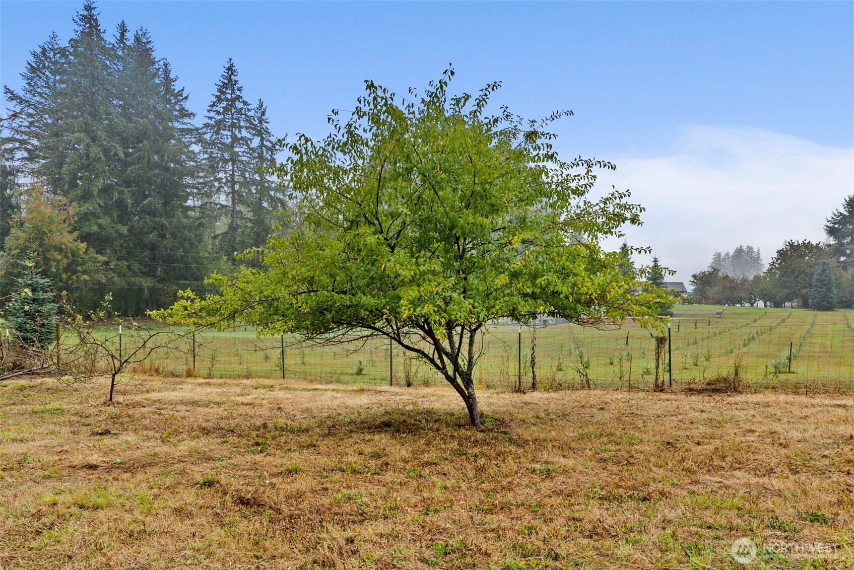 9415 Delphi Road Southwest Olympia, WA 98512 - Photo 30 of 36 Gallery Image 30